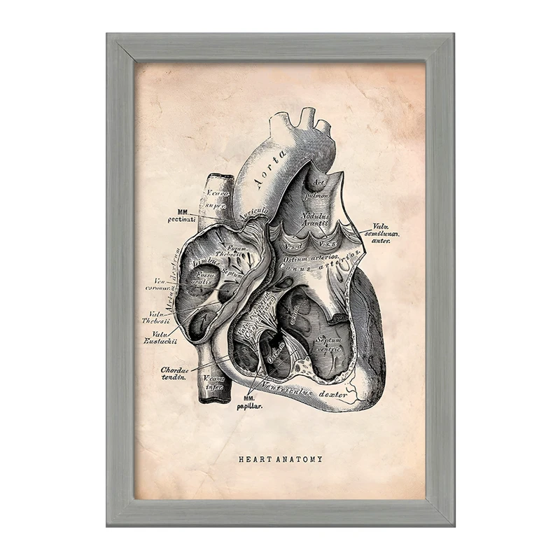 تابلو خندالو طرح آناتومی قلب (Heart Anatomy) کد F13943