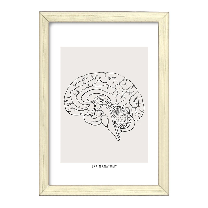 تابلو خندالو طرح آناتومی مغز (Brain Anatomy) کد F13891