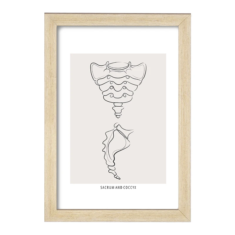 تابلو خندالو طرح آناتومی استخوان خاجی (Sacrum And Coccyx Anatomy) کد F13918