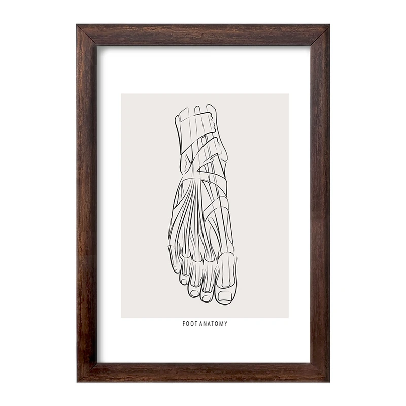 تابلو خندالو طرح آناتومی پا (Foot Anatomy) کد F13924