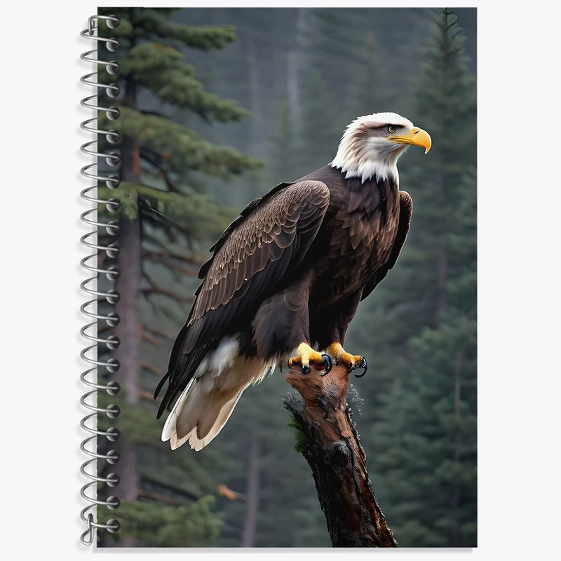 دفتر زبان 50 برگ خندالو مدل سه خط طرح عقاب کد F4826