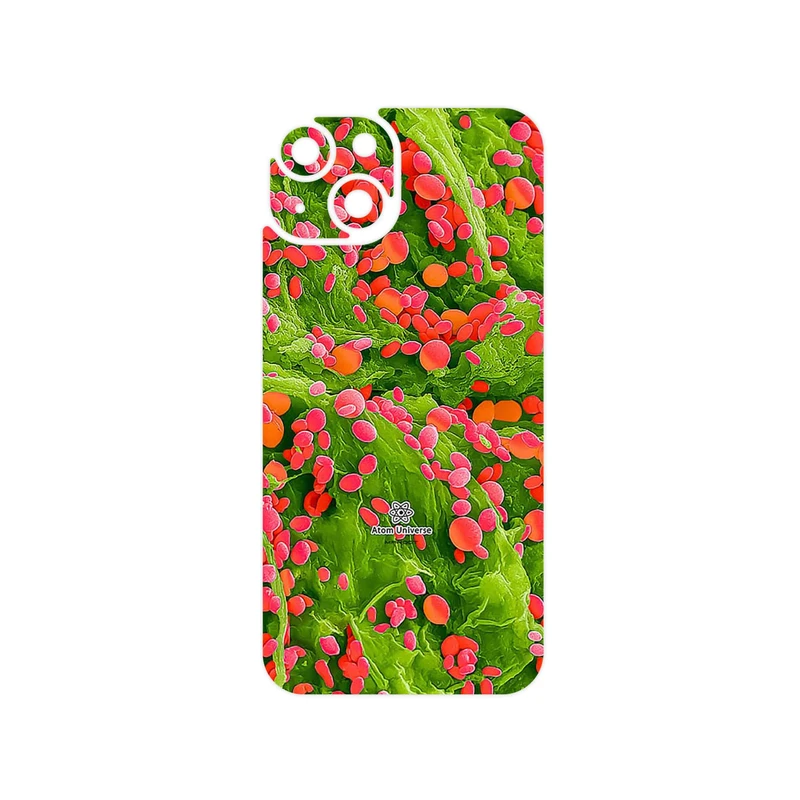 برچسب پوششی ماهوت مدل Atom Universe 3 مناسب برای گوشی موبایل اپل iPhone 14