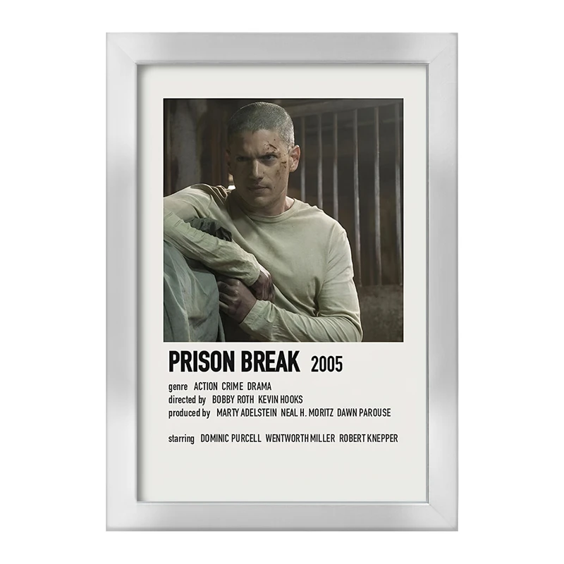 تابلو خندالو طرح فرار از زندان (Prison Break) کد F13317