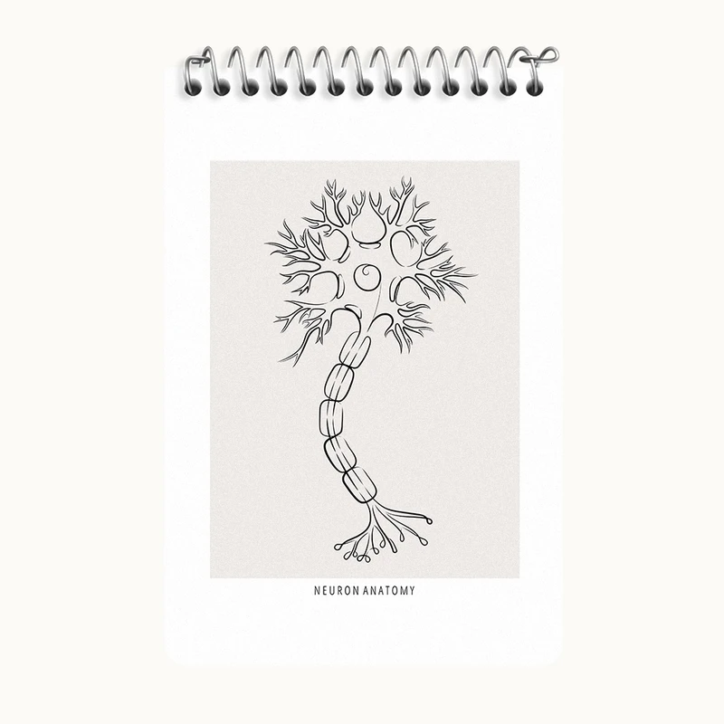 دفتر یادداشت 50 برگ خندالو طرح آناتومی نورون (Neuron Anatomy) کد F13907