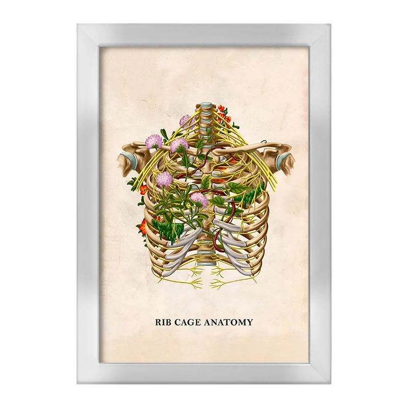 تابلو خندالو طرح آناتومی قفسه سینه (Rib Cage Anatomy) کد F13995