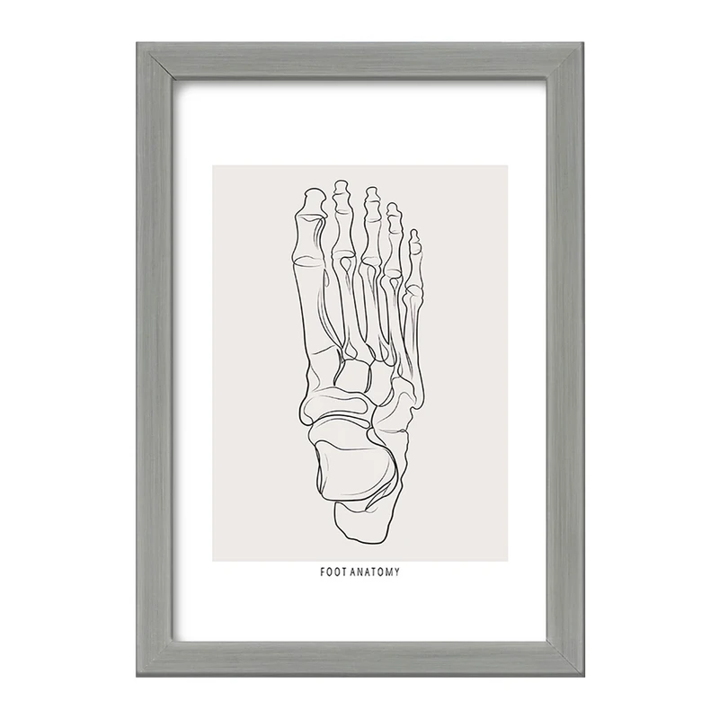 تابلو خندالو طرح آناتومی پا (Foot Anatomy) کد F13921