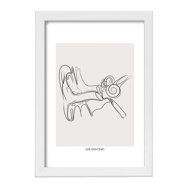 تابلو خندالو طرح آناتومی گوش (Ear Anatomy) کد F13932