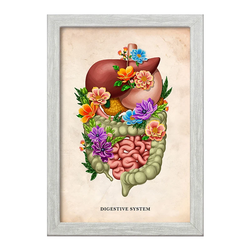 تابلو خندالو طرح سیستم گوارش (Digestive System) کد F13971
