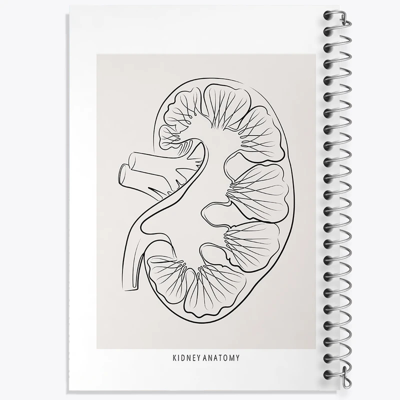 دفتر مشق 50 برگ خندالو طرح آناتومی کلیه (kidney Anatomy) کد F13903