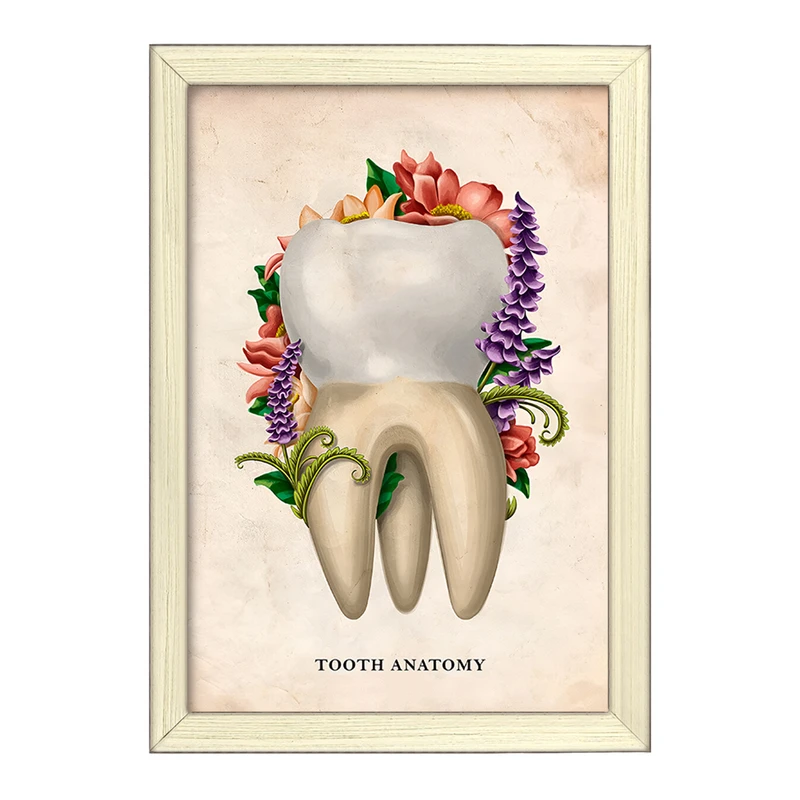 تابلو خندالو طرح آناتومی دندان (Tooth Anatomy) کد F13980