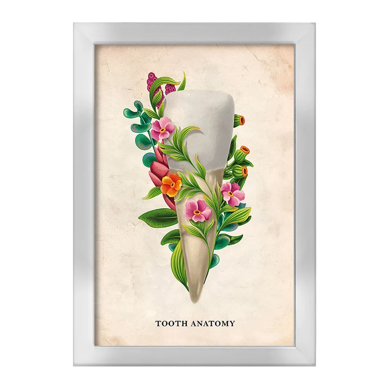 تابلو خندالو طرح آناتومی دندان (Tooth Anatomy) کد F13982
