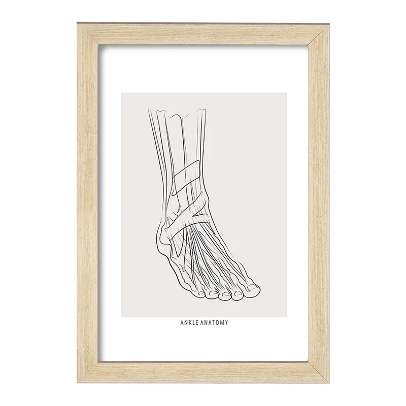 تابلو خندالو طرح آناتومی مچ پا (Ankle Anatomy) کد F13926