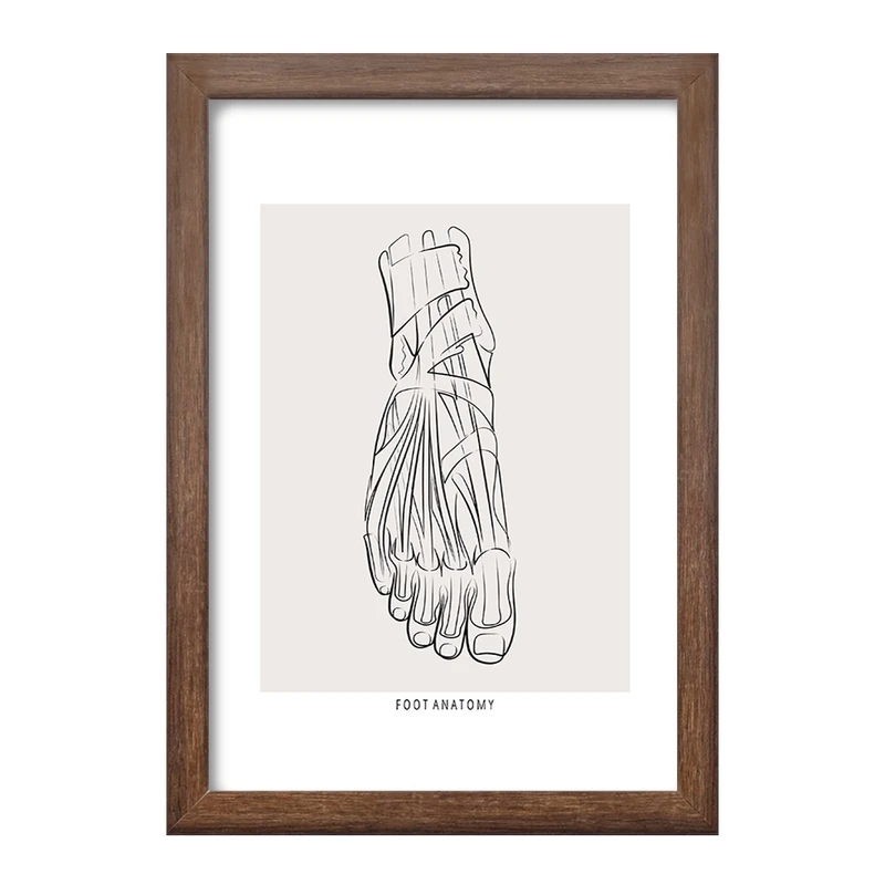 تابلو خندالو طرح آناتومی پا (Foot Anatomy) کد F13924