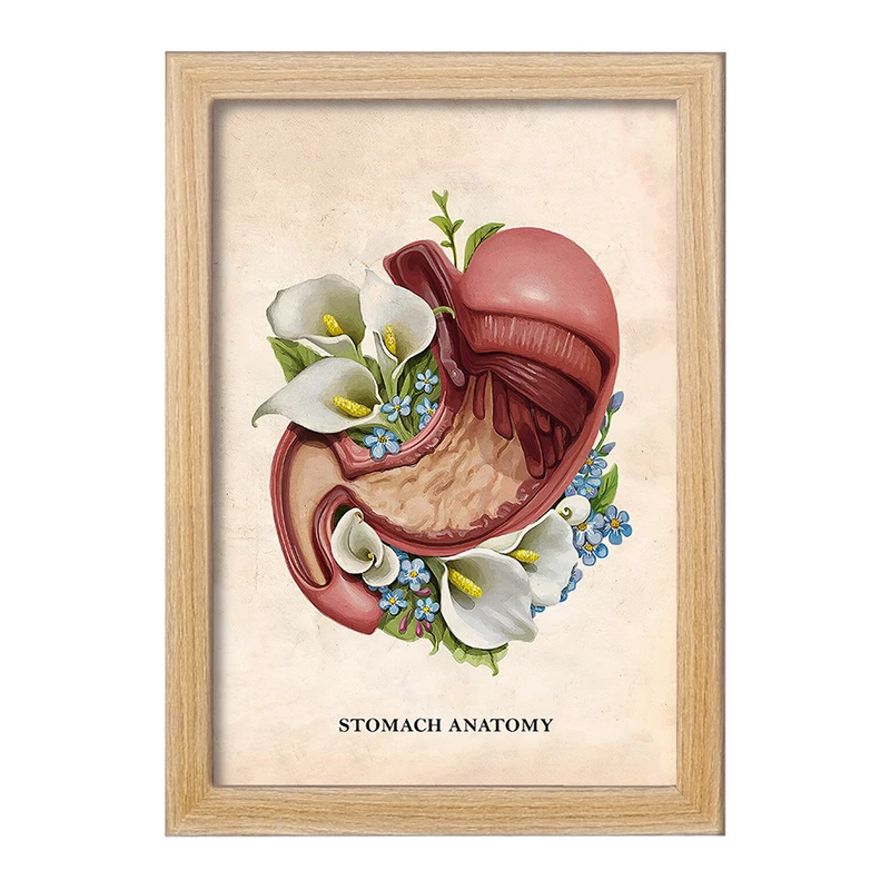 تابلو خندالو طرح آناتومی معده (Stomach Anatomy) کد F14009