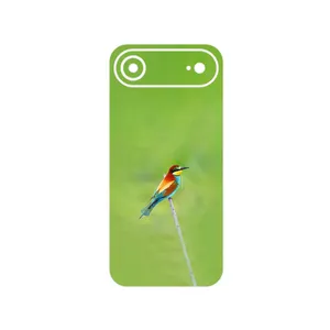 MAHOOT European bee-eater Cover Sticker for Apple iPhone 17 Air