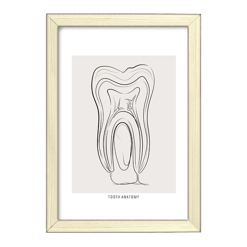 تابلو خندالو طرح آناتومی دندان (Tooth Anatomy) کد F13937