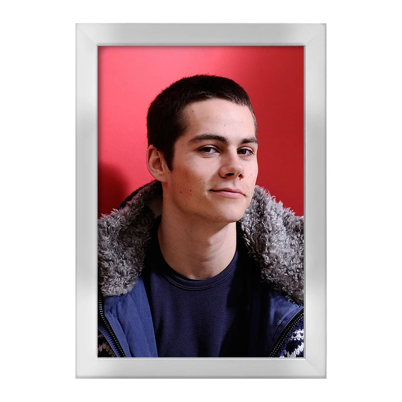 تابلو خندالو طرح استایلز استلینسکی سریال تین ولف Teen Wolf کد 28444