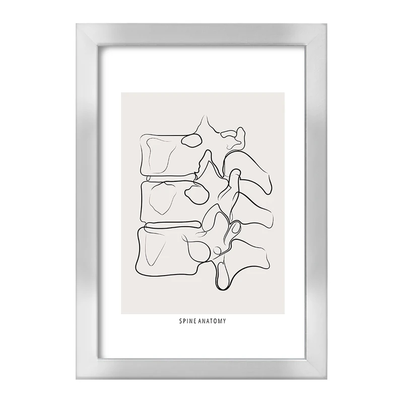 تابلو خندالو طرح آناتومی ستون فقرات (Spine Anatomy) کد F13910