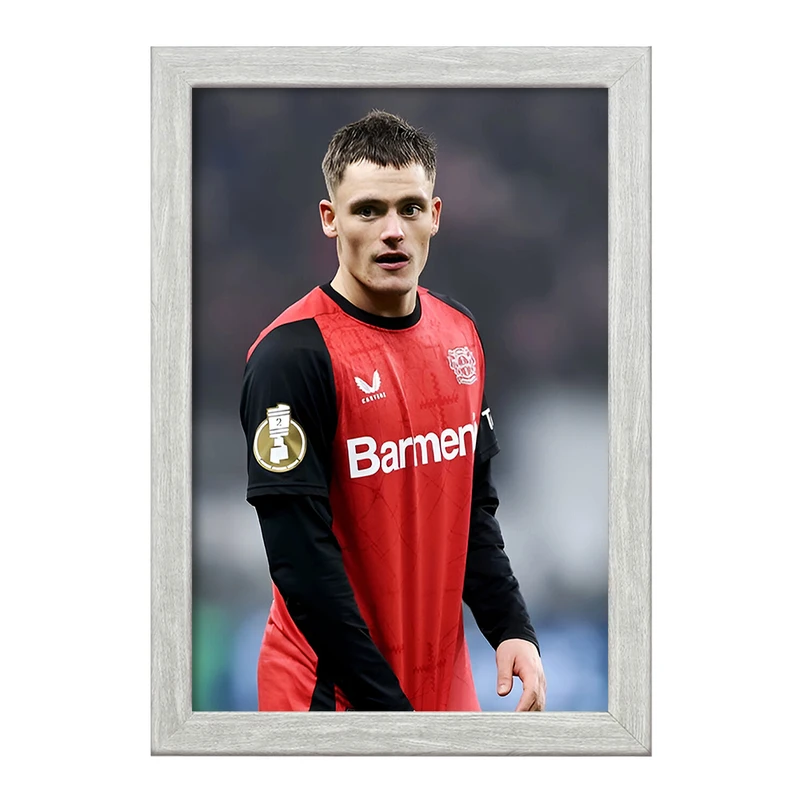 تابلو خندالو طرح فلوریان ویرتز (Florian Wirtz) کد F14329