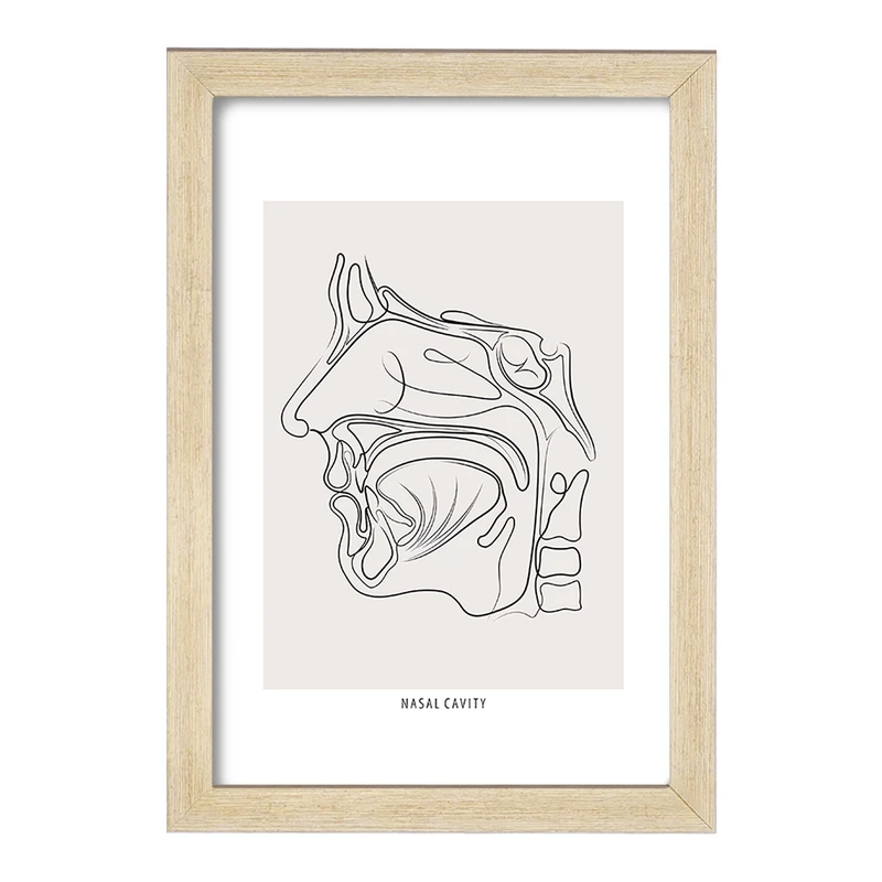 تابلو خندالو طرح حفره بینی (Nasal Cavity) کد F13931