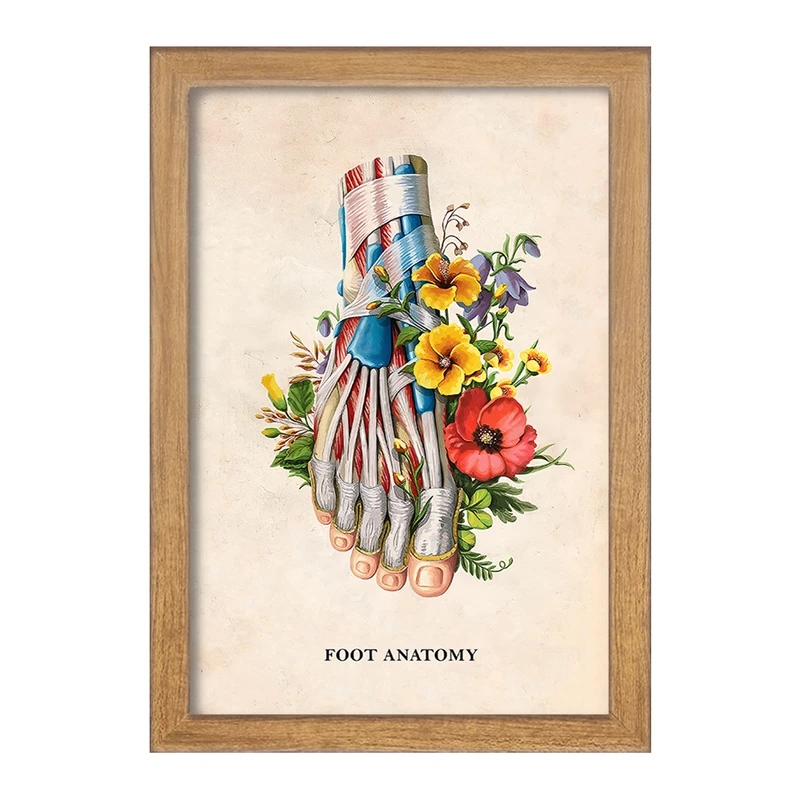 تابلو خندالو طرح آناتومی پا (Foot Anatomy) کد F14013