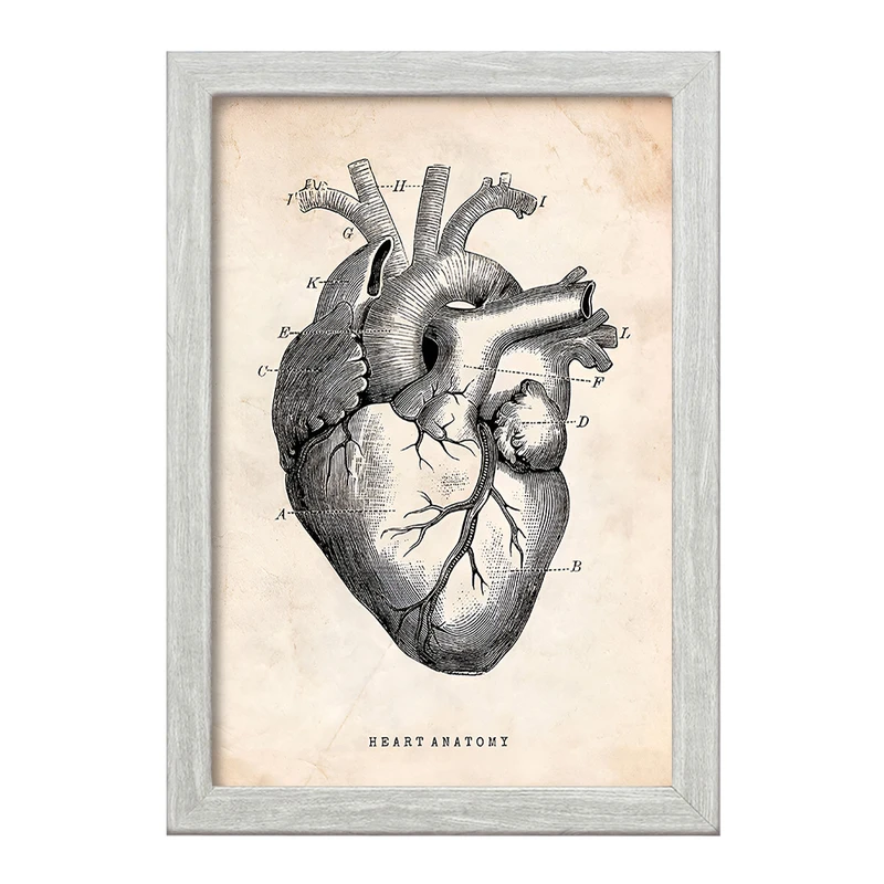 تابلو خندالو طرح آناتومی قلب (Heart Anatomy) کد F13940
