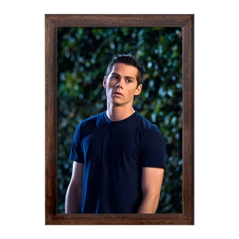 تابلو خندالو طرح استایلز استلینسکی سریال تین ولف Teen Wolf کد 28446