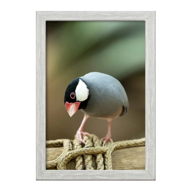 تابلو خندالو طرح پرنده کد F1261