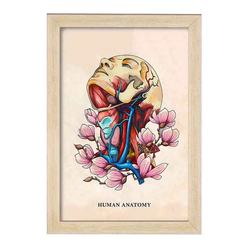 تابلو خندالو طرح آناتومی انسان (Human Anatomy) کد F14017