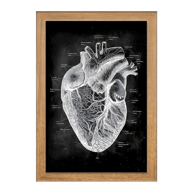 تابلو خندالو طرح آناتومی قلب (Heart Anatomy) کد F13956