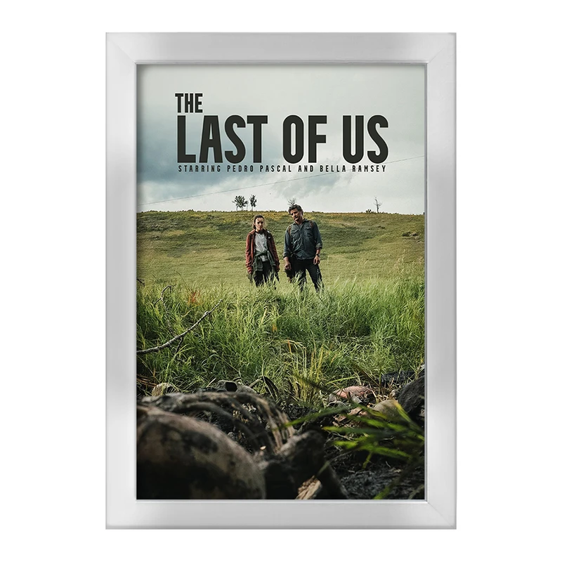 تابلو خندالو طرح لست آف آس (The Last Of Us) کد F13599