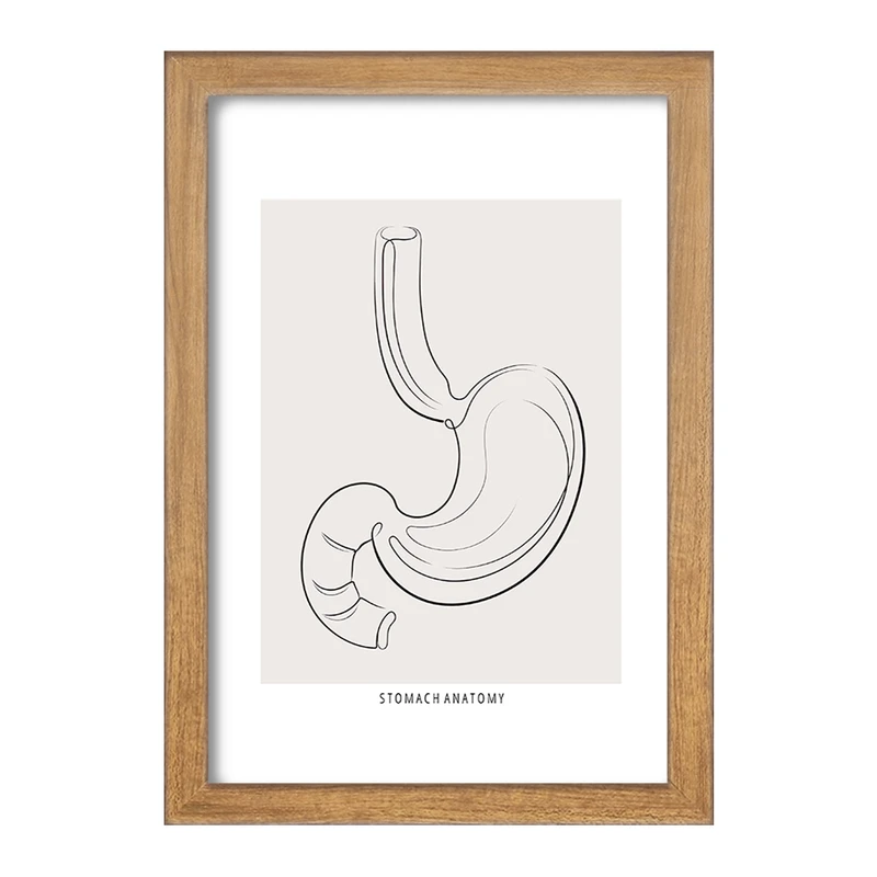 تابلو خندالو طرح آناتومی معده (Stomach Anatomy) کد F13904