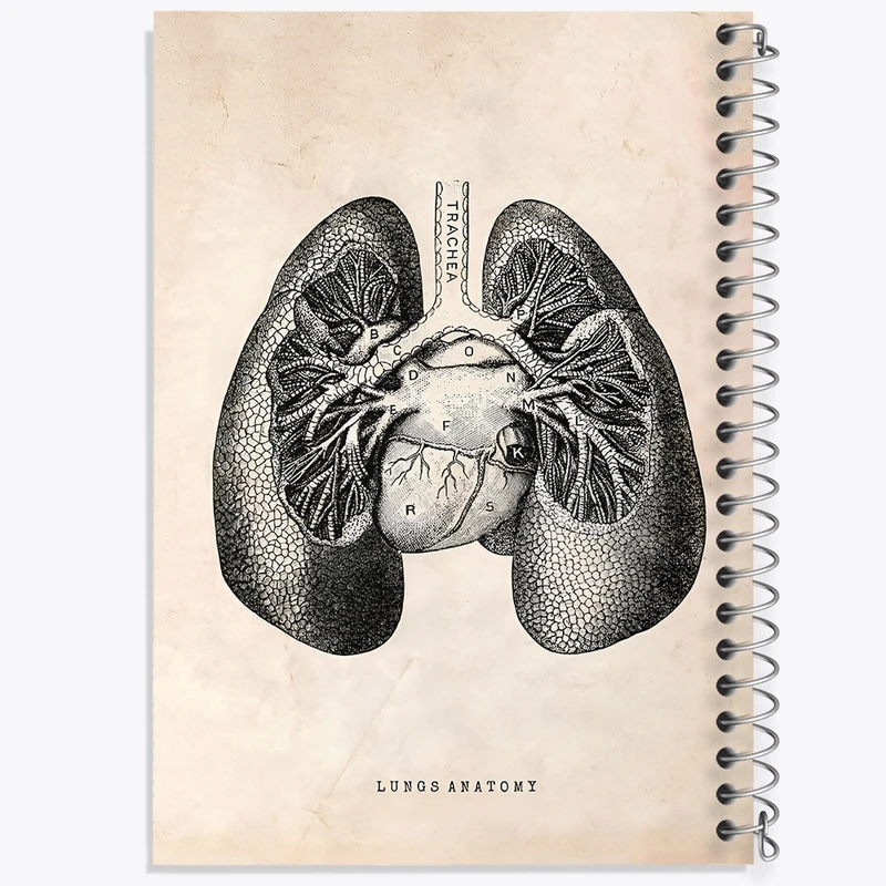 دفتر شطرنجی 50 برگ خندالو طرح آناتومی ریه ها (Lungs Anatomy) کد F13949