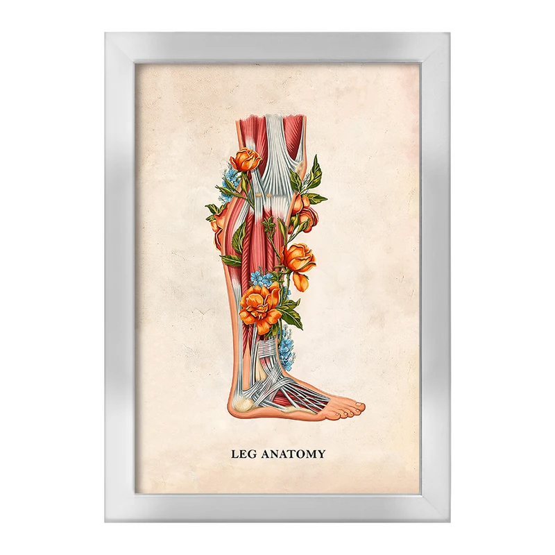 تابلو خندالو طرح آناتومی پا (Foot Anatomy کد F14015