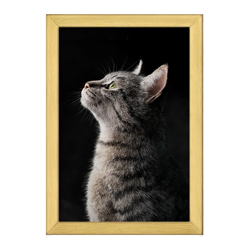 تابلو خندالو طرح گربه (Cat) کد F588