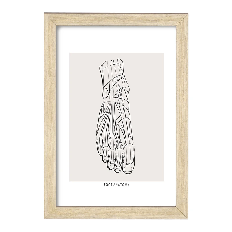 تابلو خندالو طرح آناتومی پا (Foot Anatomy) کد F13924