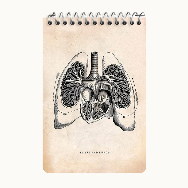 دفتر یادداشت 50 برگ خندالو طرح آناتومی قلب (Heart Anatomy) کد F13952