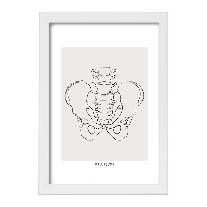 تابلو خندالو طرح آناتومی لگن (Pelvis Anatomy) کد F13912