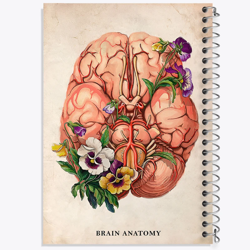 دفتر مشق 50 برگ خندالو طرح آناتومی مغز (Brain Anatomy) کد F13976