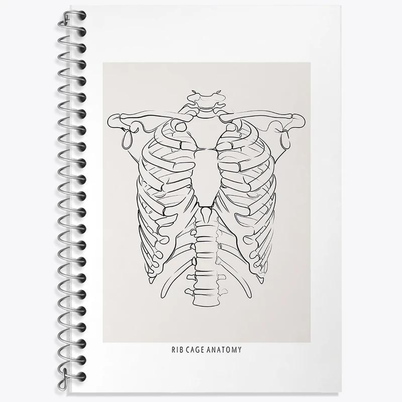 دفتر زبان 50 برگ خندالو مدل دو خط طرح آناتومی قفسه سینه (Rib Cage Anatomy) کد F13920
