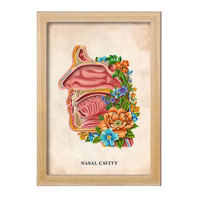 تابلو خندالو طرح حفره بینی (Nasal Cavity) کد F13992