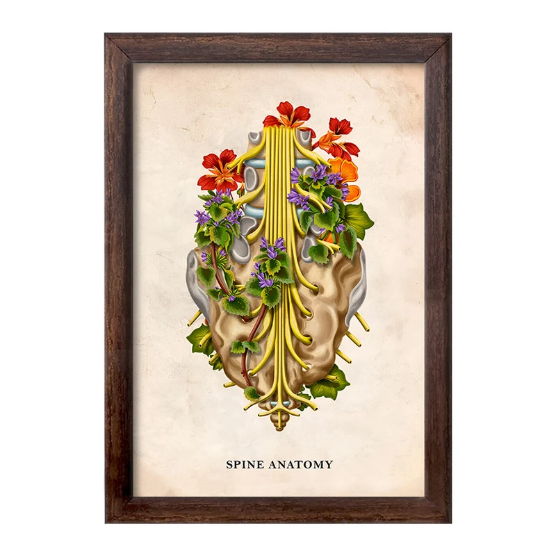 تابلو خندالو طرح آناتومی ستون فقرات (Spine Anatomy) کد F13983