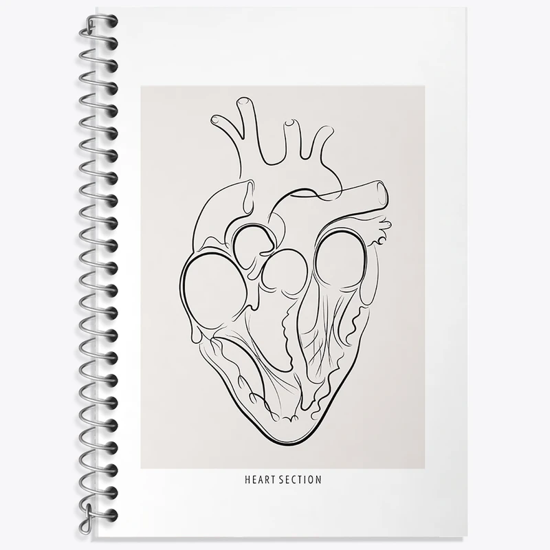 دفتر لغت 50 برگ خندالو طرح آناتومی قلب (Heart Anatomy) کد F13897