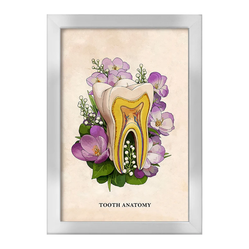 تابلو خندالو طرح آناتومی دندان (Tooth Anatomy) کد F14018
