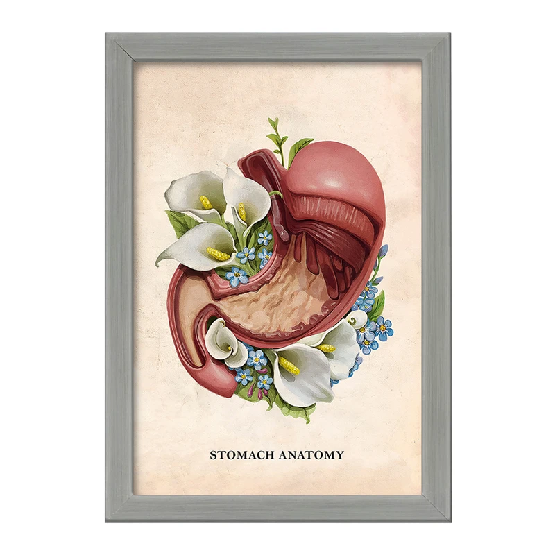 تابلو خندالو طرح آناتومی معده (Stomach Anatomy) کد F14009