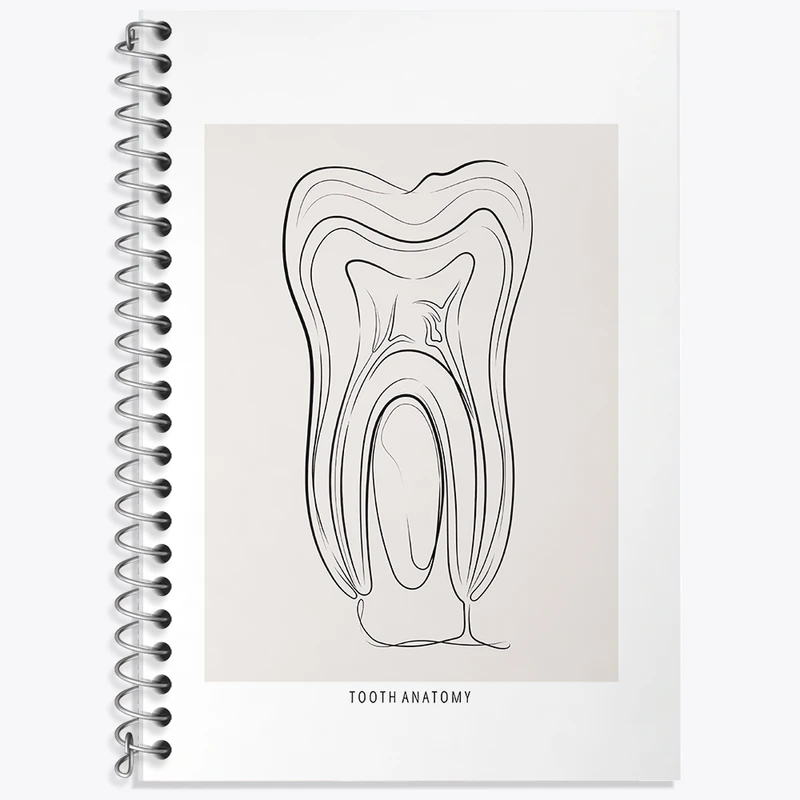 دفتر نت موسیقی 50 برگ خندالو طرح آناتومی دندان (Tooth Anatomy) کد F13937