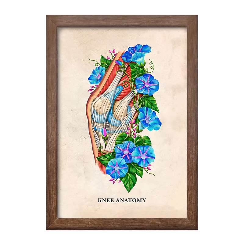 تابلو خندالو طرح آناتومی زانو (Knee Anatomy) کد F13998