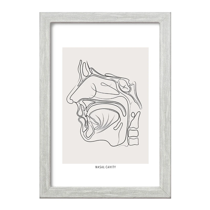 تابلو خندالو طرح حفره بینی (Nasal Cavity) کد F13931