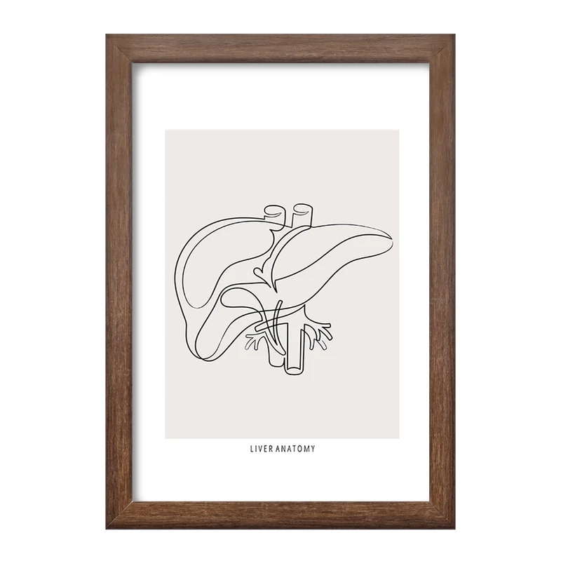 تابلو خندالو طرح آناتومی کبد (Liver anatomy) کد F13900