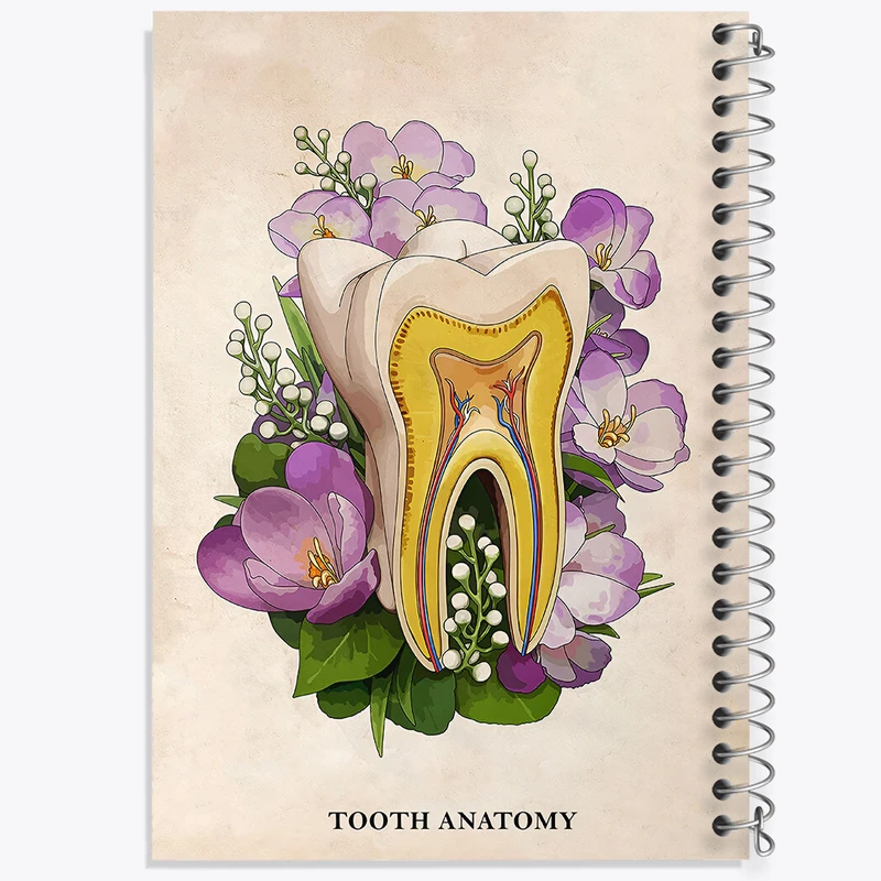 دفتر نقاشی 50 برگ خندالو طرح آناتومی دندان (Tooth Anatomy) کد F14018